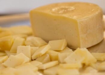 Capacitações online, presenciais, cartilhas e vídeos orientam sobre produção de queijos.