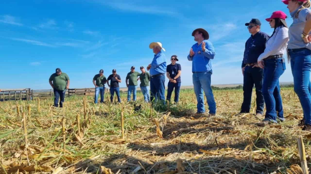 Visita técnica da Caravana na Fazenda Bariri, em Canarana (MT).