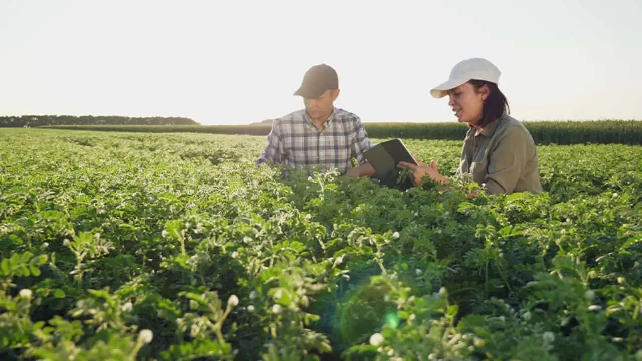 Faculdade CNA abre inscrições para cursos do agro até 20 de julho 2 Cursos superiores são à distância e têm duração de dois a três anos.