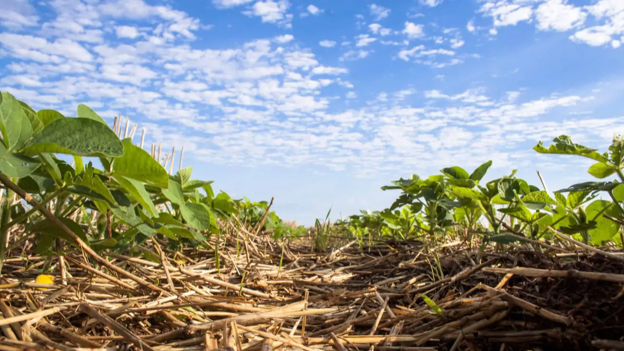 Entre os objetivos estão as produções de baixas emissões de carbono.
