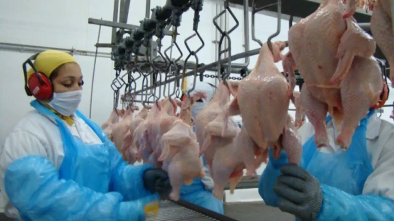 carne de frango