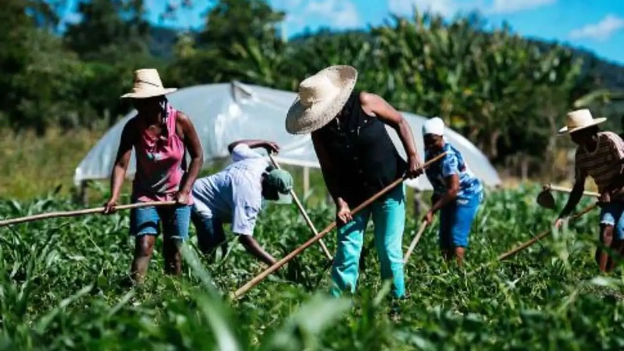 Governo estuda estratégias para implantar a reforma agrária. 