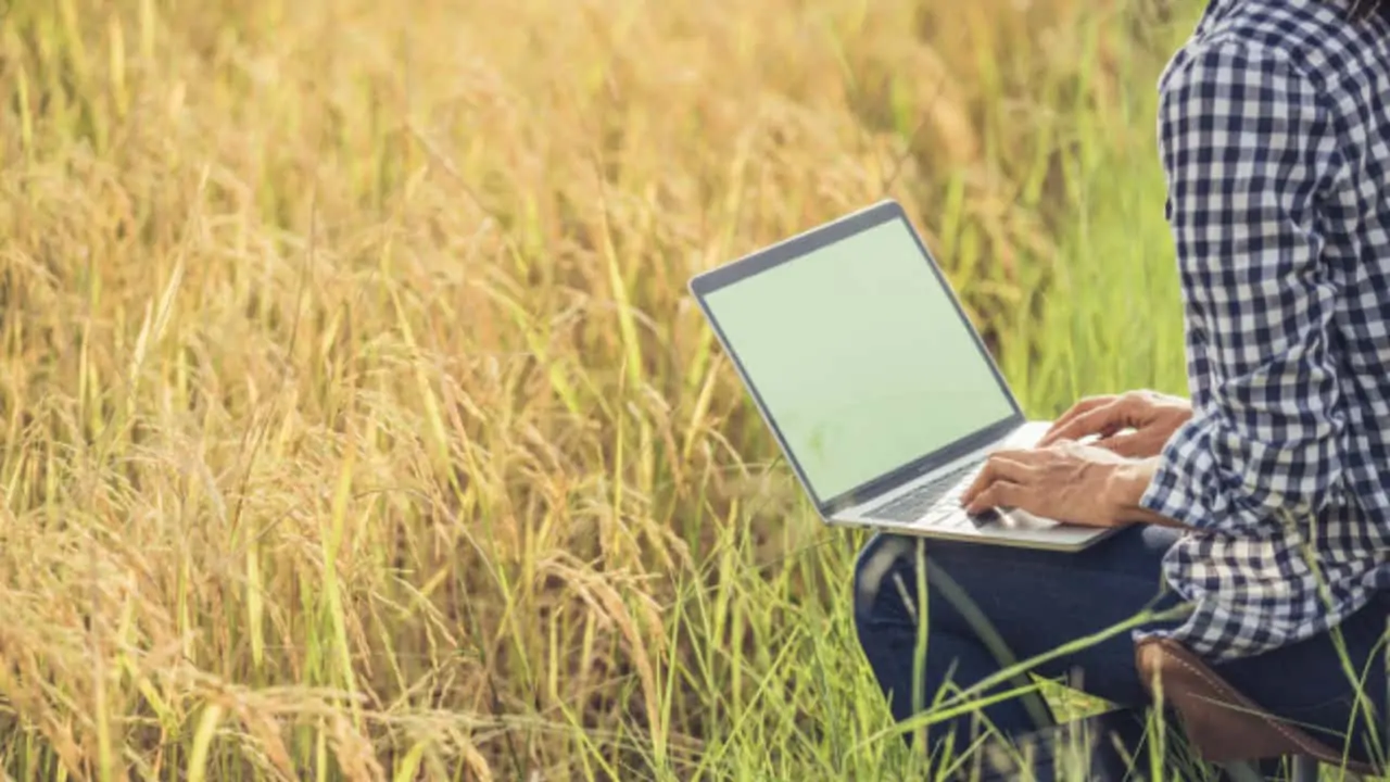 Faculdade CNA abre inscrições para cursos do agro até 20 de julho 3 Graduações são de gestão do agronegócio, ambiental, recursos humanos e processos gerenciais.