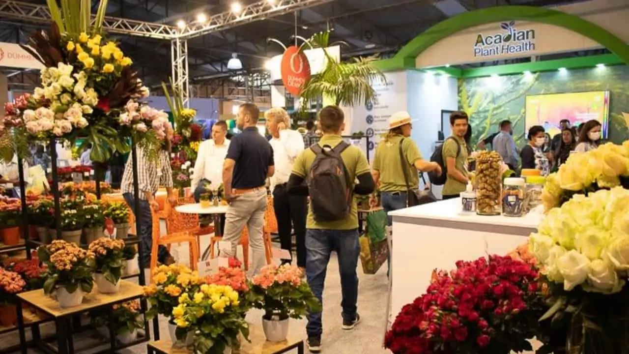 horticultura