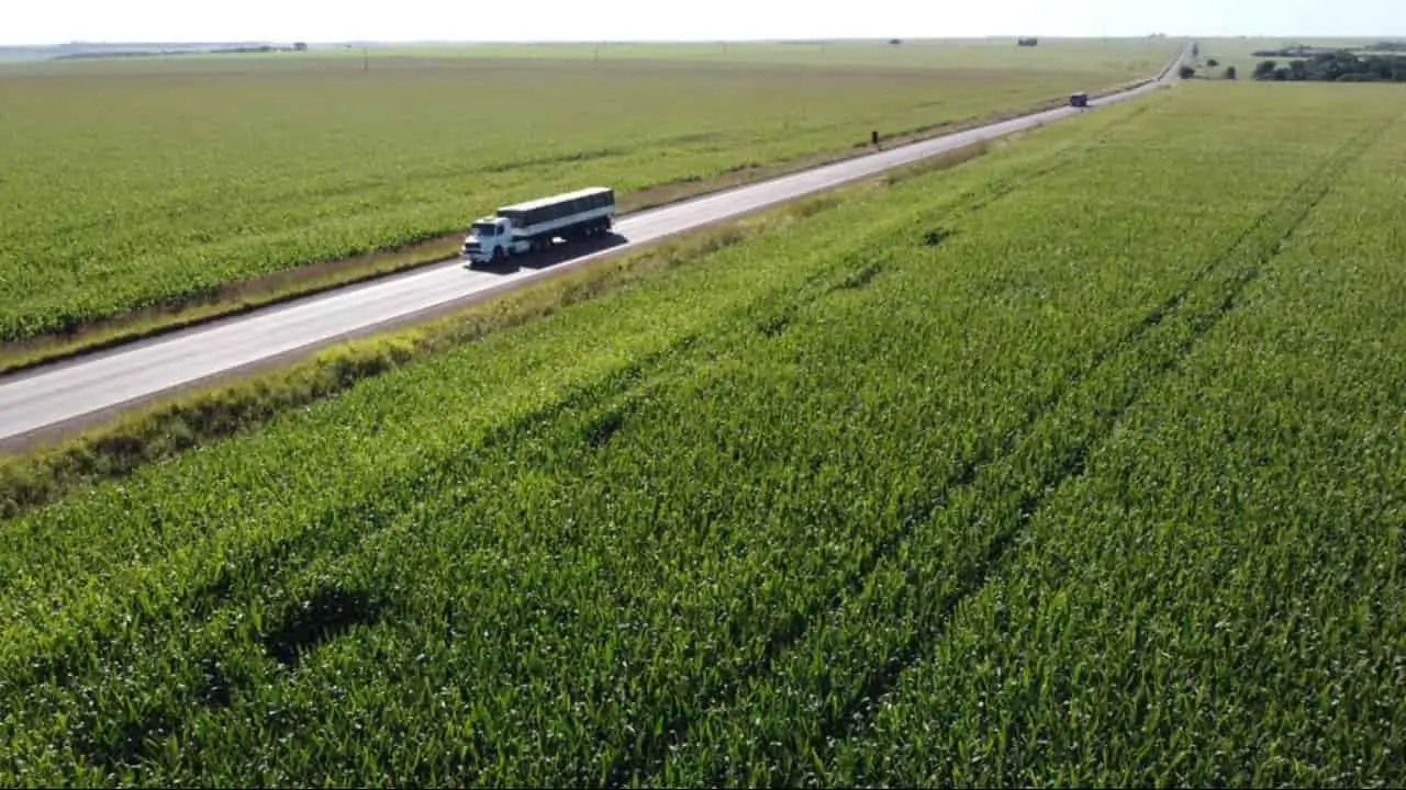 Ideia do governo é beneficiar escoamento da produção agrícola. 