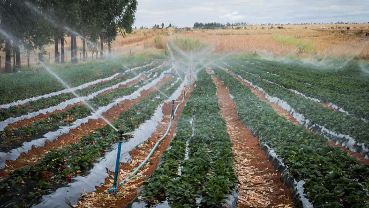 Outro painel do whorshop será Setor agropecuário na gestão hídrica das bacias.