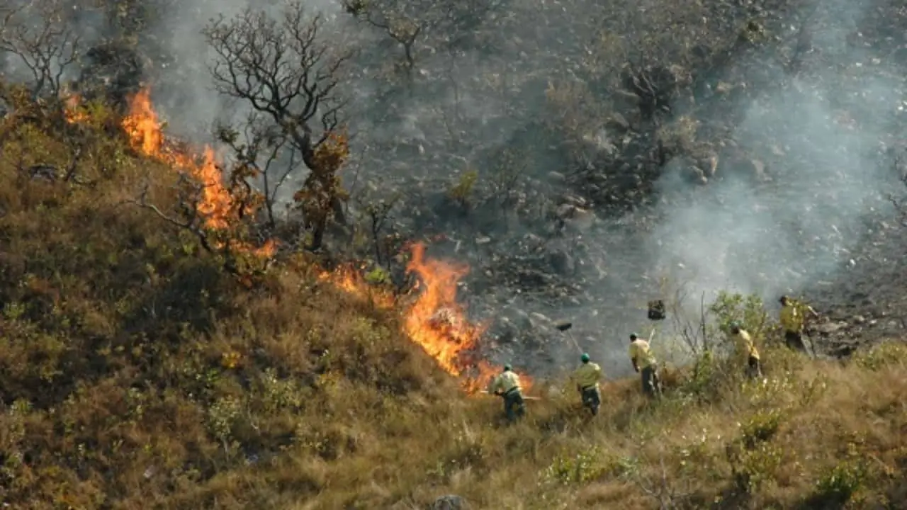 Período de estiagem aumenta risco de incêndios florestais.