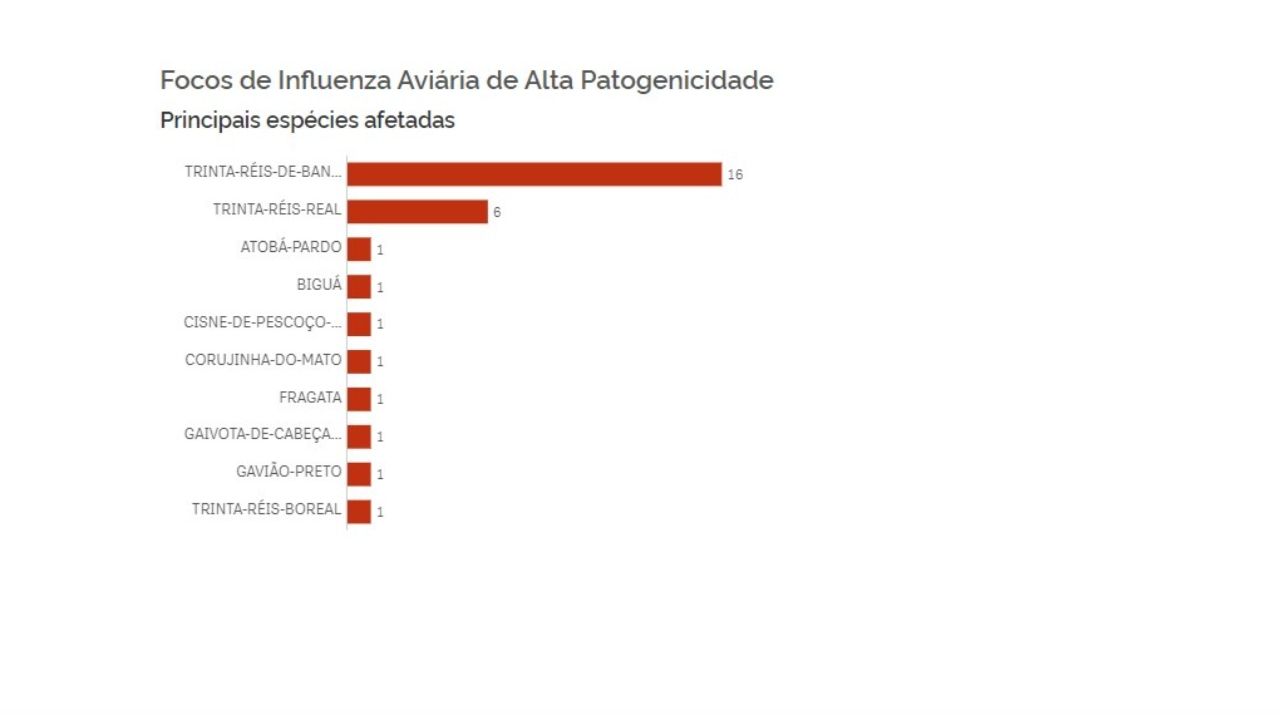 Plataforma indica ainda quais espécies de animais foram contaminadas. 