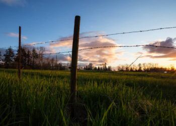 Presidente pede a Incra levantamento de terras para oferecer à população rural.