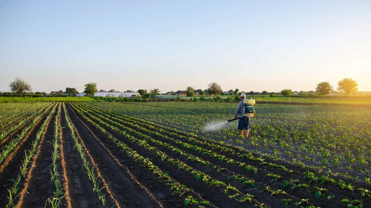 Se não houver exceção, prevalece a decisão da maioria já formada. 