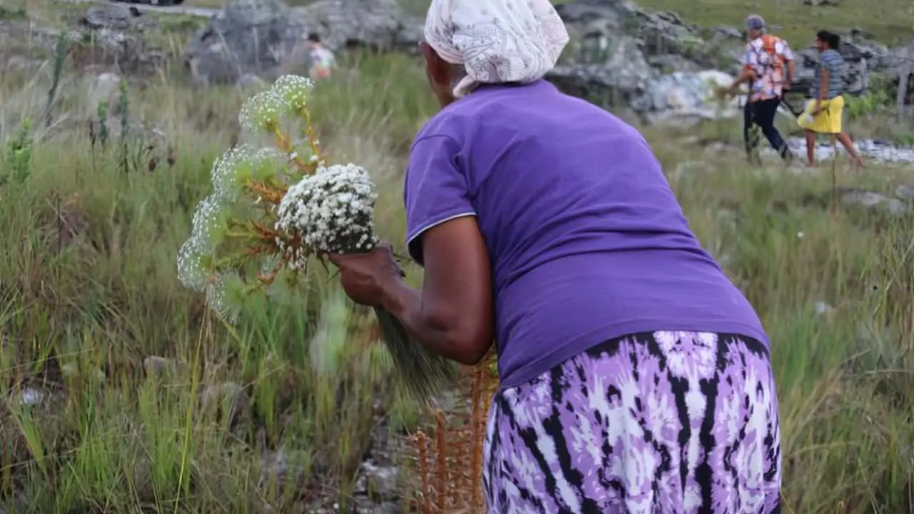patrimônio cultural