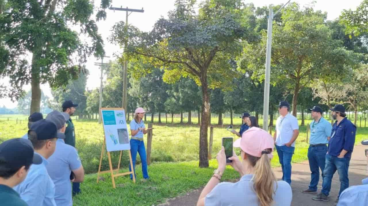 Caravana ILPF da Embrapa percorreu estados de Mato Grosso e Goiás. 