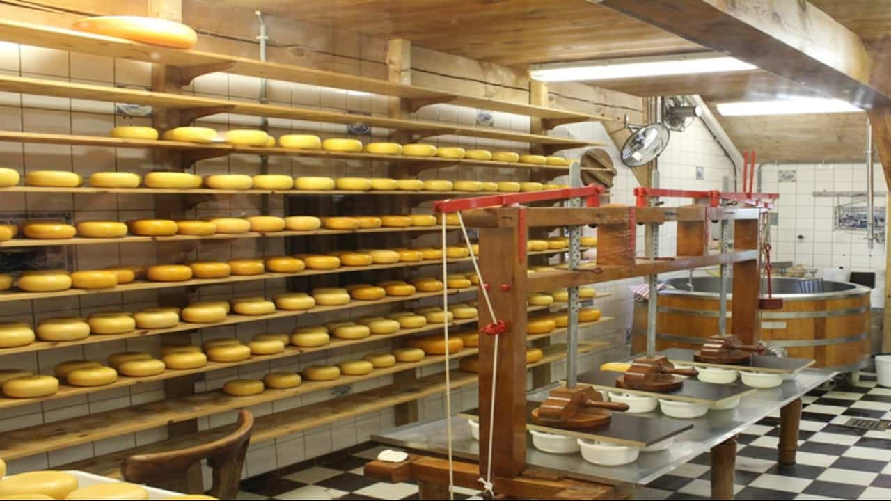 Temas ensinam até as características de queijos e legislação da produção.