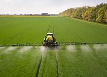 STF vota para derrubar trechos do decreto sobre classificação toxicológica dos defensivos agrícolas.
