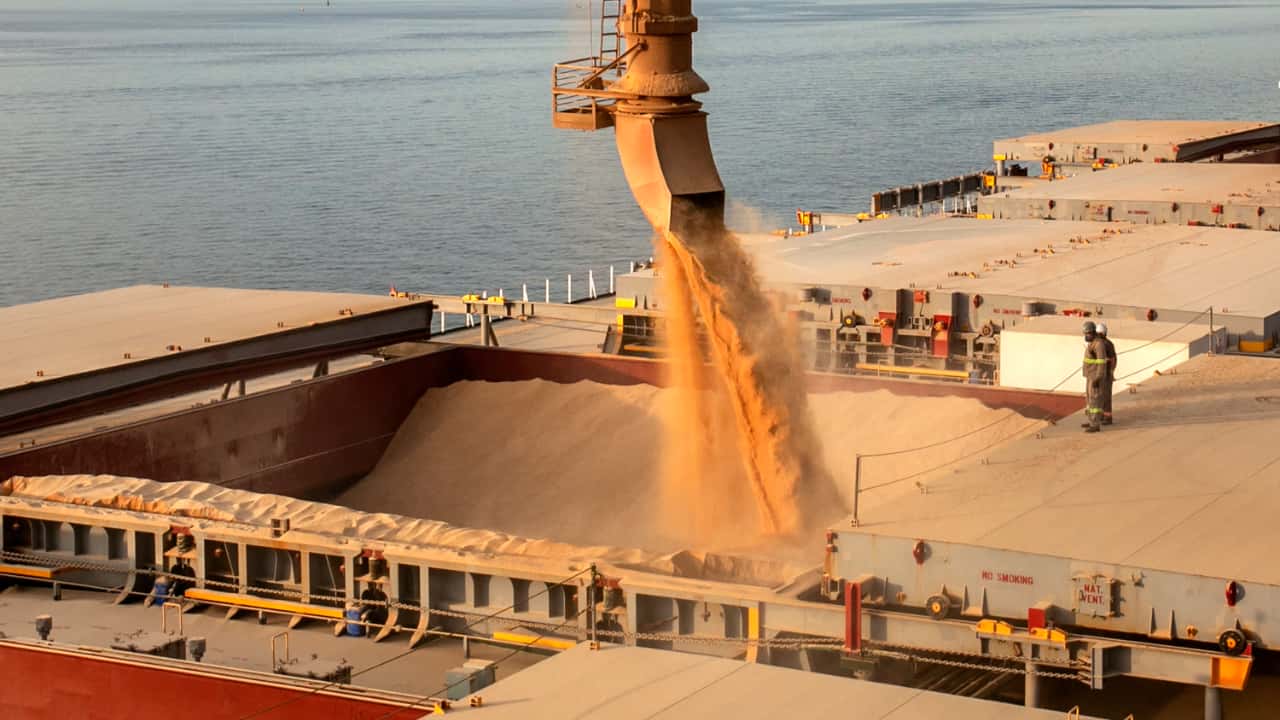 Brasil deve colher safra recorde o que também impulsiona exportações do farelo de soja.