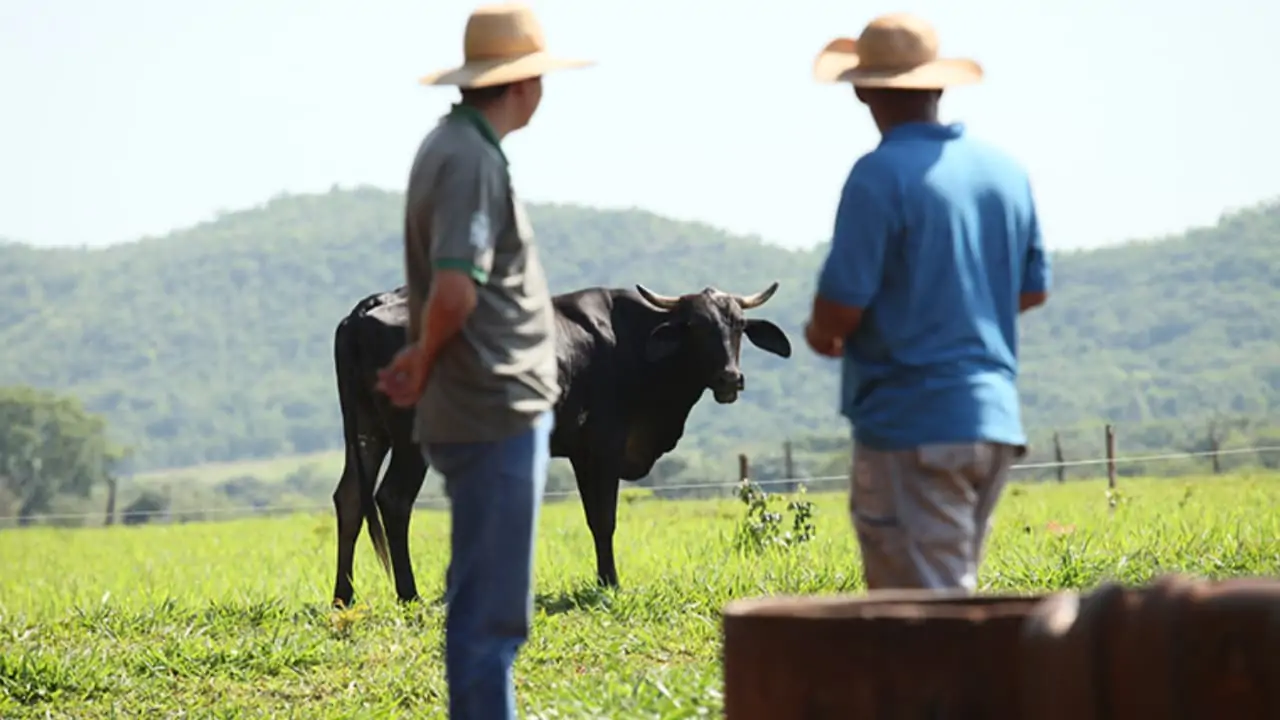 CNA afirma que reforma deve garantir segurança jurídica ao produtor rural. 
