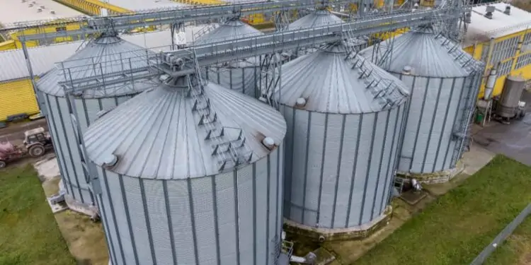 Cotações de mercado: confira as perspectivas para soja, milho e mandioca 1 cotações de mercado