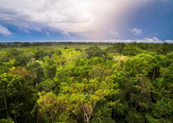 Governo pretende ampliar faixa de fronteira da Amazônia Legal