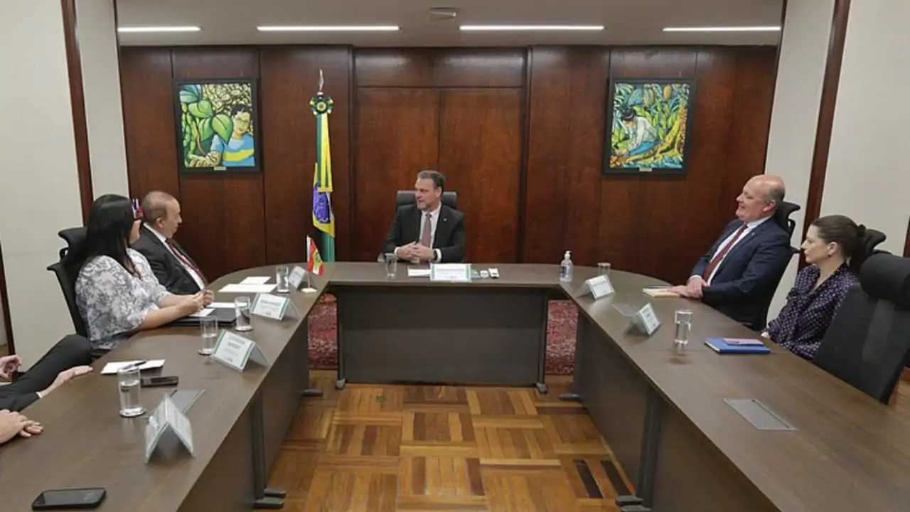 Mapa fará missão ao Japão para reverter embargo da carne de frango. 