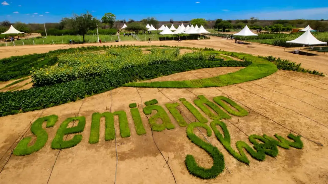 Semiárido Show acontece de 1º a 4 de agosto em Petrolina (PE). 