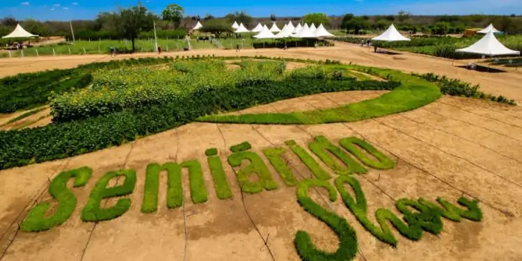 Semiárido Show: feira agro acontece de 1º a 4 de agosto em Petrolina-PE 1 Semiárido show terá cerca de 10 seminários e 50 palestras, além de oficinas e dias de campo.