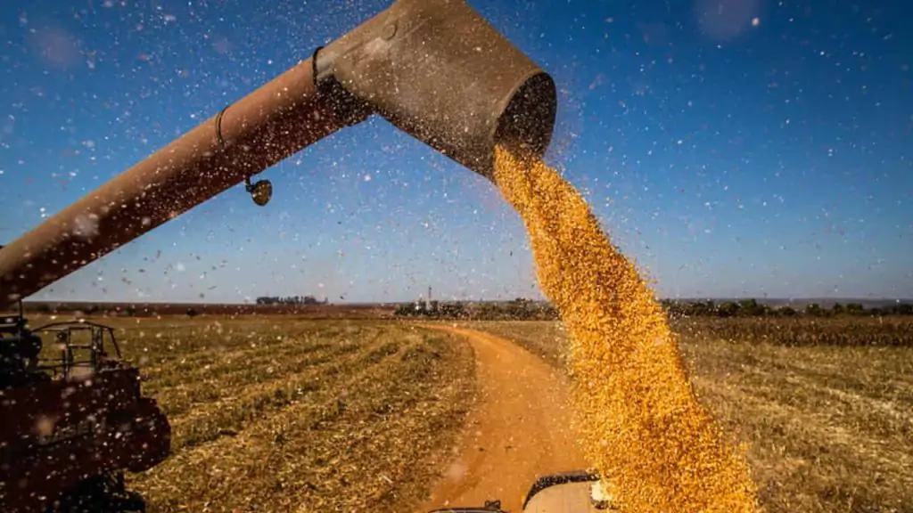 Área produtiva deve crescer com recuperação de áreas degradadas.
