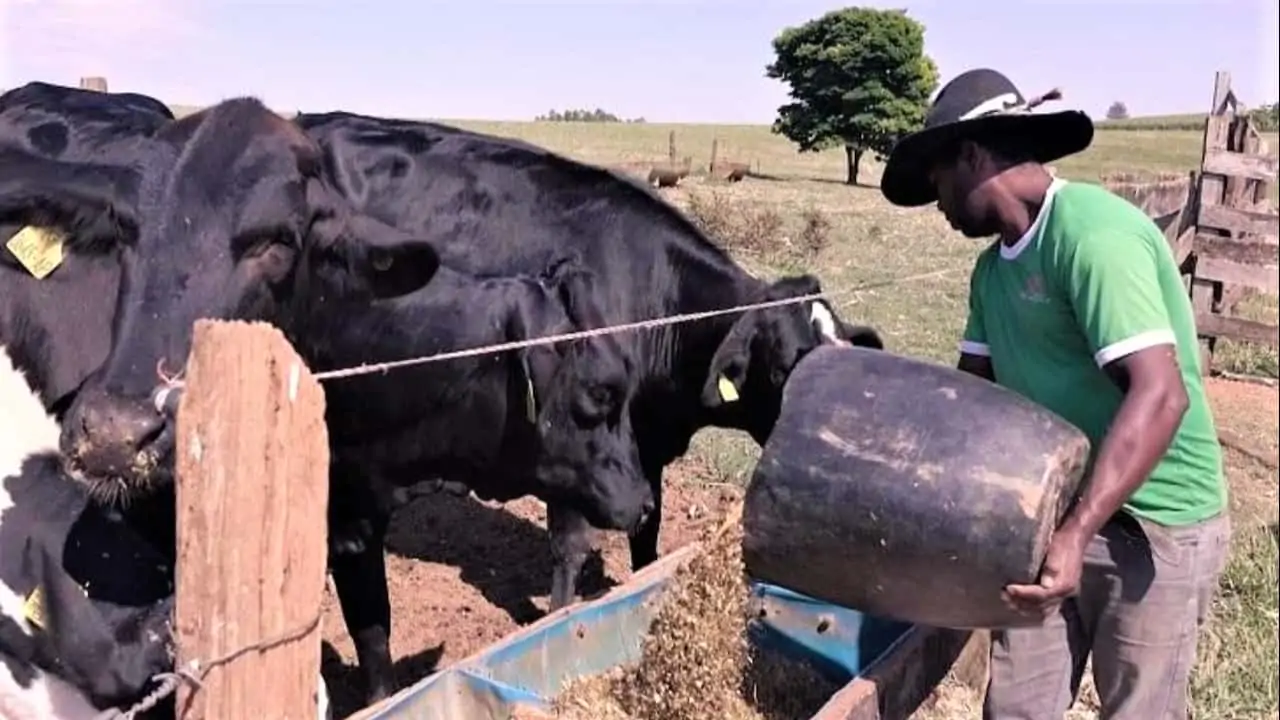 Agropecuária gerou mais de 86 mil empregos no 1º semestre de 2023 2 Atividades de pecuária registraram queda na criação de empregos.