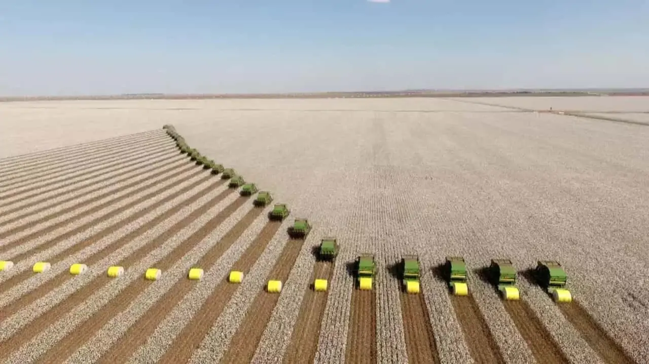 Com a safra recorde, Brasil precisará de estratégias para exportar o excedente.