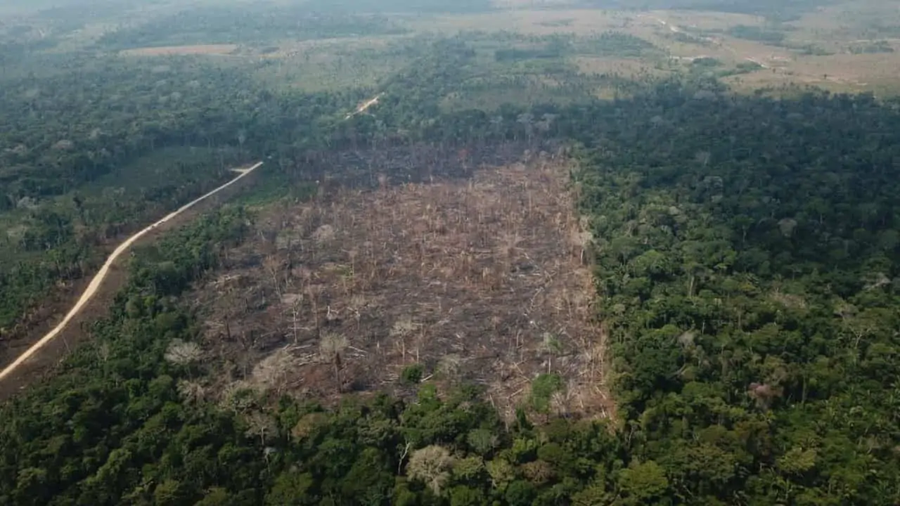 desmatamento na Amazônia