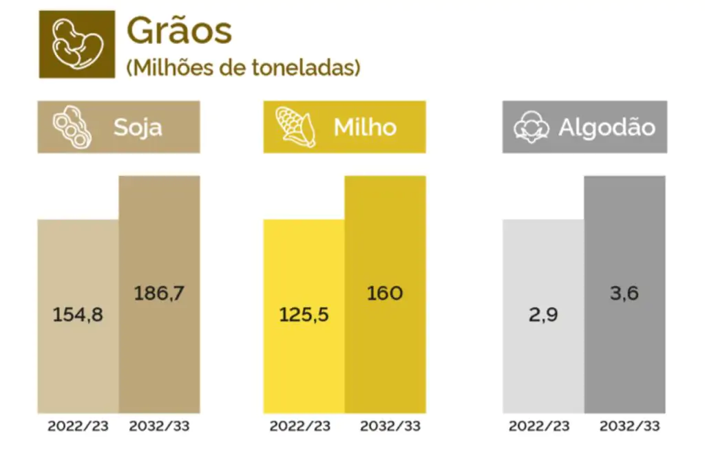 Destaque para lavouras de soja, milho segunda safra e algodão. 