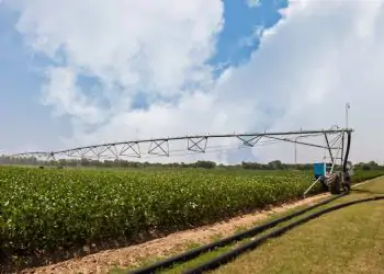 Evento gratuito busca gerar conhecimentos sobre agricultura irrigada no Centro-Oeste.