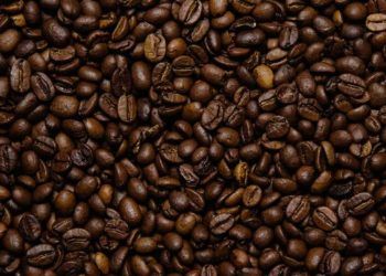 Exportações do café brasileiro registra queda no faturamento de 23%.