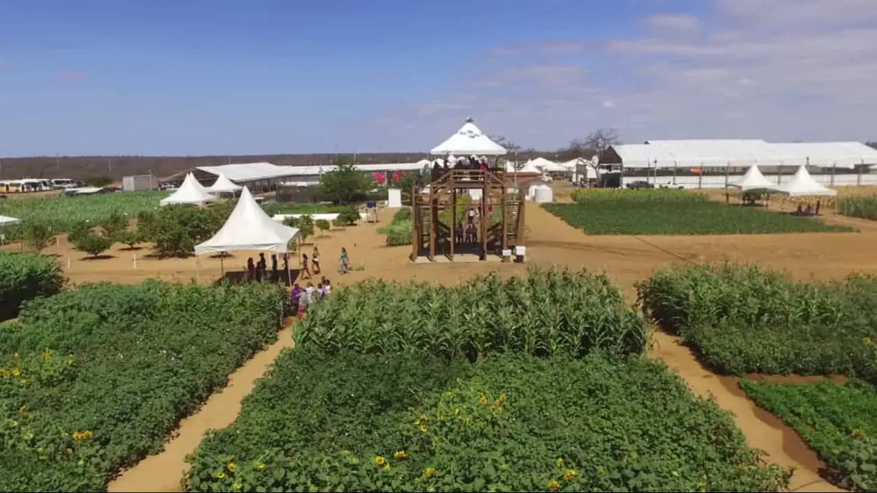 Semiárido Show: feira agro acontece de 1º a 4 de agosto em Petrolina-PE 3 Feira também disponibilizará cursos online gratuitos.