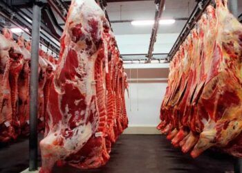 Mercado aquecido aumenta procura pela carne brasileira.