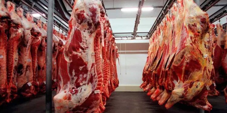 Mercado aquecido aumenta procura pela carne brasileira.