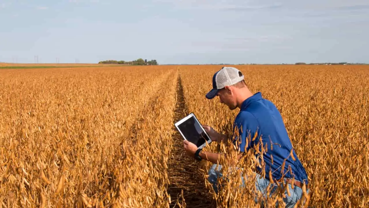 Objetivo é oferecer aos produtores rurais no ano agrícola 2023/2024. 