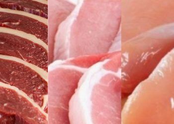 País produzirá 36,2 milhões de toneladas de carnes até 2033.