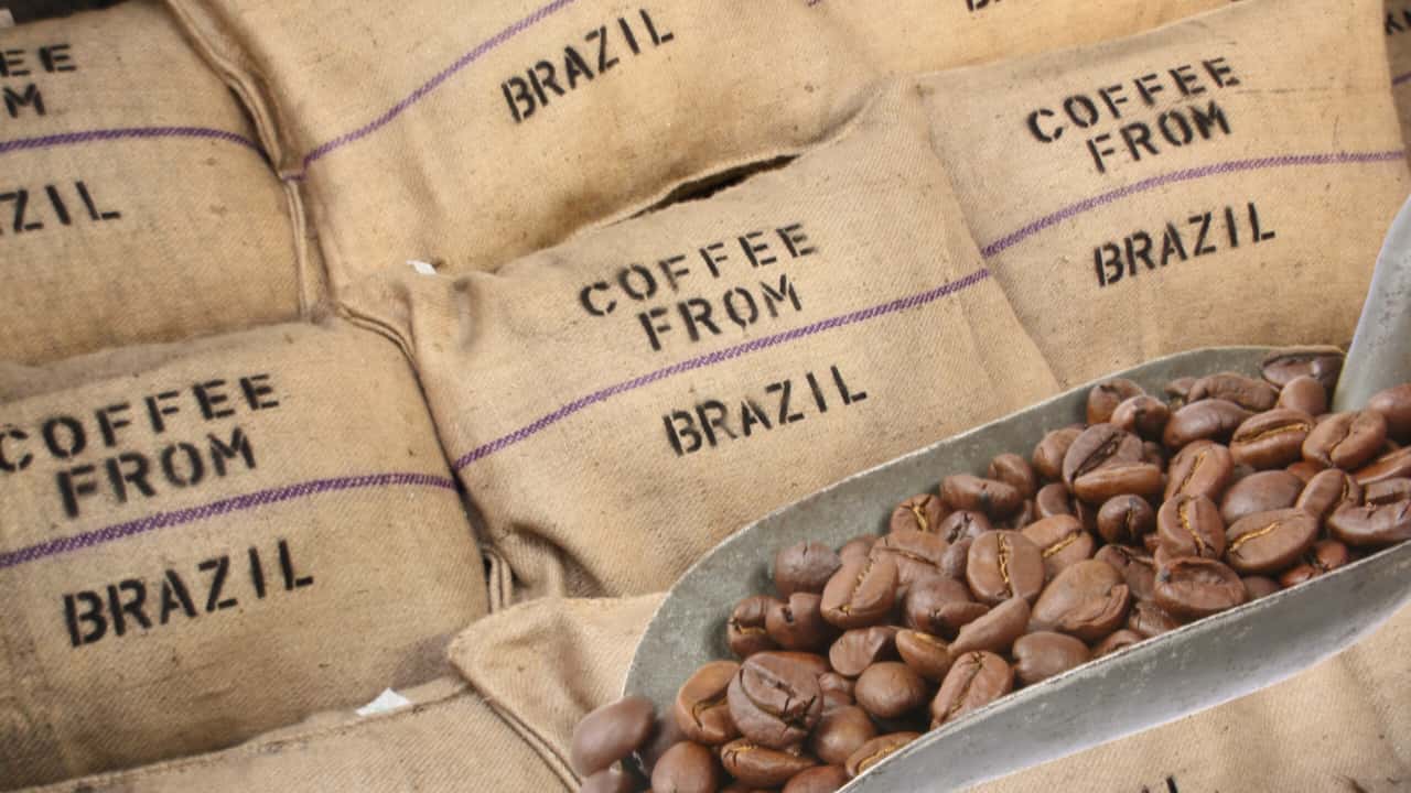 Países produtores de café importaram mais produto brasileiro. 