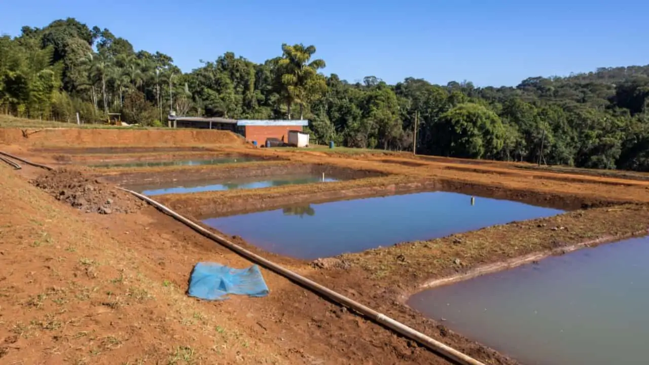 Goiás quer fomentar crescimento da piscicultura no estado em parceria com a União 3 atividade pesqueira