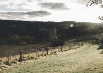 Previsão indica chuva, frio e ventos fortes em parte do centro-sul do Brasil.