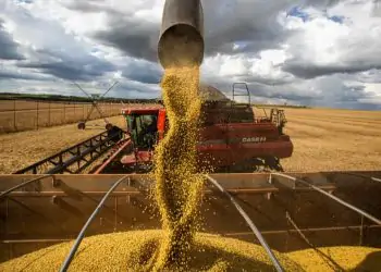 Produção de grãos deve alcançar 48 milhões de toneladas no período.