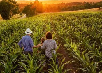 Valor Bruto da Produção Agropecuária da agricultura familiar deve ser em torno de R$ 253 bilhões.