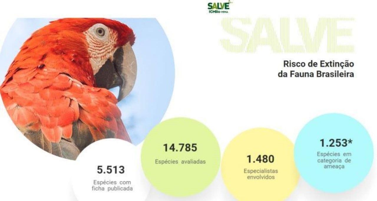 Plataforma Salve: Brasil tem mais de 1,2 mil espécies ameaçadas de extinção