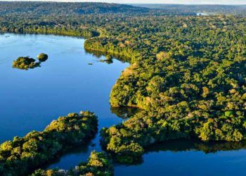 Cúpula da Amazônia: declaração final assinada por líderes frustra expectativas
