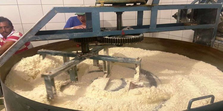 Municípios de Goiás passam a ter fábricas móveis de farinha; investimento de R$ 2,17 mi