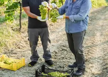 Receita Federal começa fiscalização