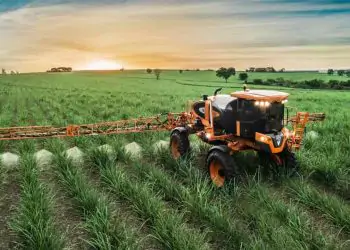 São Paulo atinge produção histórica de açúcar com 24,4 milhões de toneladas