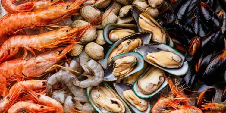Autorização abre oportunidade de mercado dos frutos do mar brasileiros para o mundo.