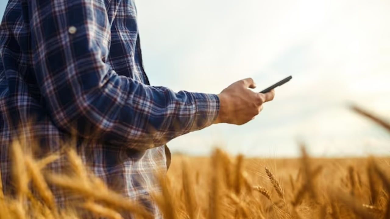 Cursos são na área de agricultura, pecuária, floresta, tecnologia.