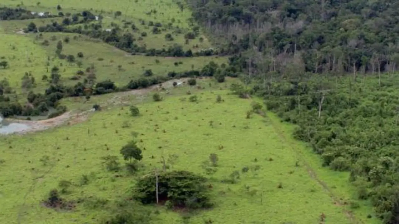 Imposto sobre a Propriedade Territorial Rural 2023